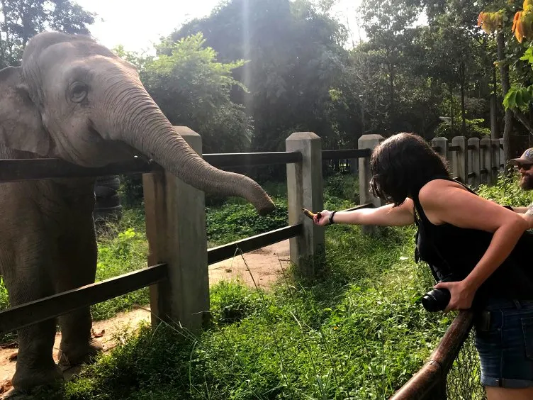  Centro de Rescate Phnom Tamao – Tonle Bati – Phnom Penh