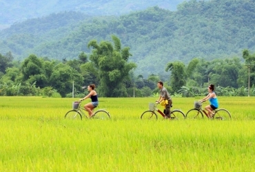  Duong Lam - Hoa Binh - Mai Chau (D, A, C)