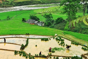 Sapa – Su Pan – Pueblo Giang Ta Chai – Pueblo Den Thang (A, C)