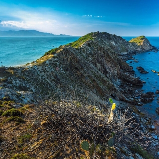 Escapadas en la playa Quy Nhon