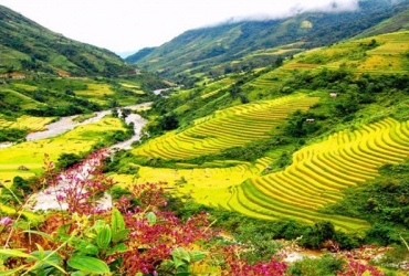 Llegada a Lao Cai – Bac Ha (A, C)