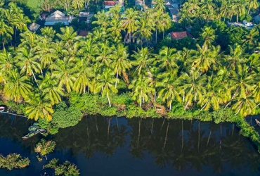 Saigon - Ben Tre homestay 