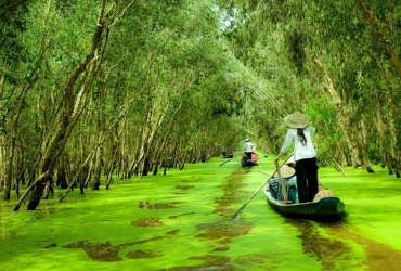 Can Tho – Chau Doc – Bosque de Tra Su