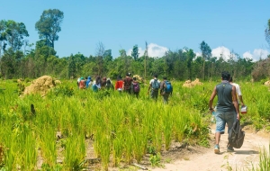 Trekking en Phnom Kulen & Beng Melea