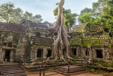 Templos destacados de Angkor (D)