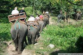 Chiang Mai - Paseo en elefante y rafting en Chiang Dao (D)