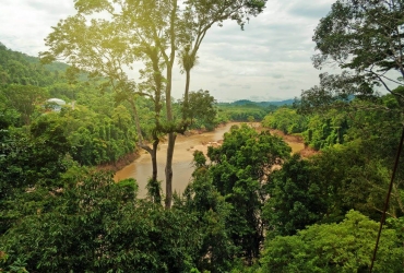 Día 7: Parque Nacional Taman Negara (D, A, C)