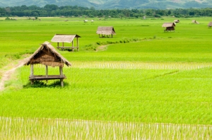 Luang Nam Tha