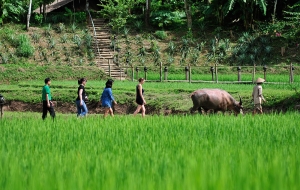 Excursión de 11 días explorando las maravillas de Laos