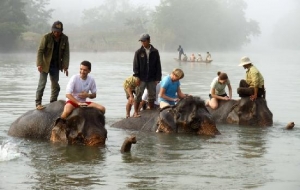 Excursión de experiencia con elefantes en Laos