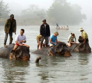 Excursión de experiencia con elefantes en Laos