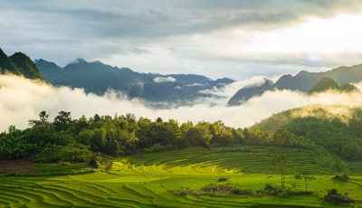 Venga a Pu Luong, no solo mire los campos en terrazas