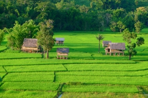 Muang La