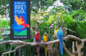 El Parque de aves Jurong