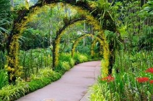 El jardín botánico de Singapur