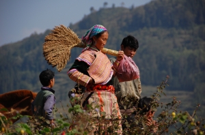 Bac Ha